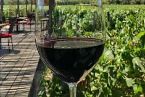 Private Wine Tour Colchagua Valley