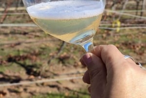 Private Wine Tour Colchagua Valley