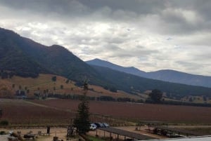 Private Wine Tour Colchagua Valley