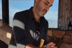 Private Wine Tour Colchagua Valley