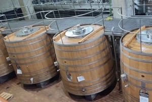 Private Wine Tour Colchagua Valley