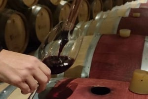 Private Wine Tour Colchagua Valley