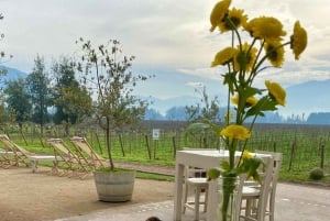 Private Wine Tour Colchagua Valley