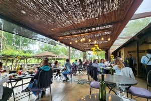 Private Wine Tour Colchagua Valley