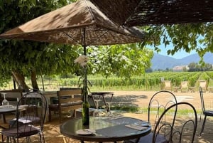 Private Wine Tour Colchagua Valley