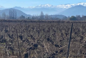 Private Wine Tour Colchagua Valley