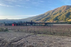 Private Wine Tour Colchagua Valley