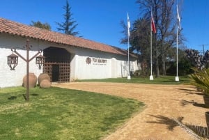 Private Wine Tour Colchagua Valley