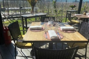 Private Wine Tour Colchagua Valley