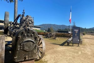 Private Wine Tour Colchagua Valley