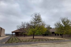 Private Wine Tour Colchagua Valley