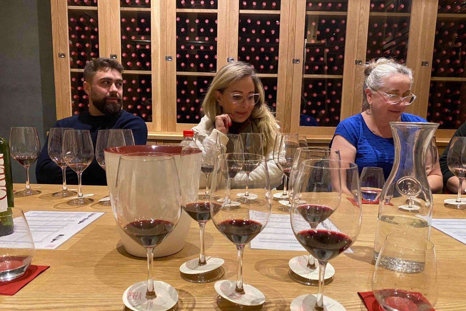 Privat vintur Holistisk opplevelse Viña Vik