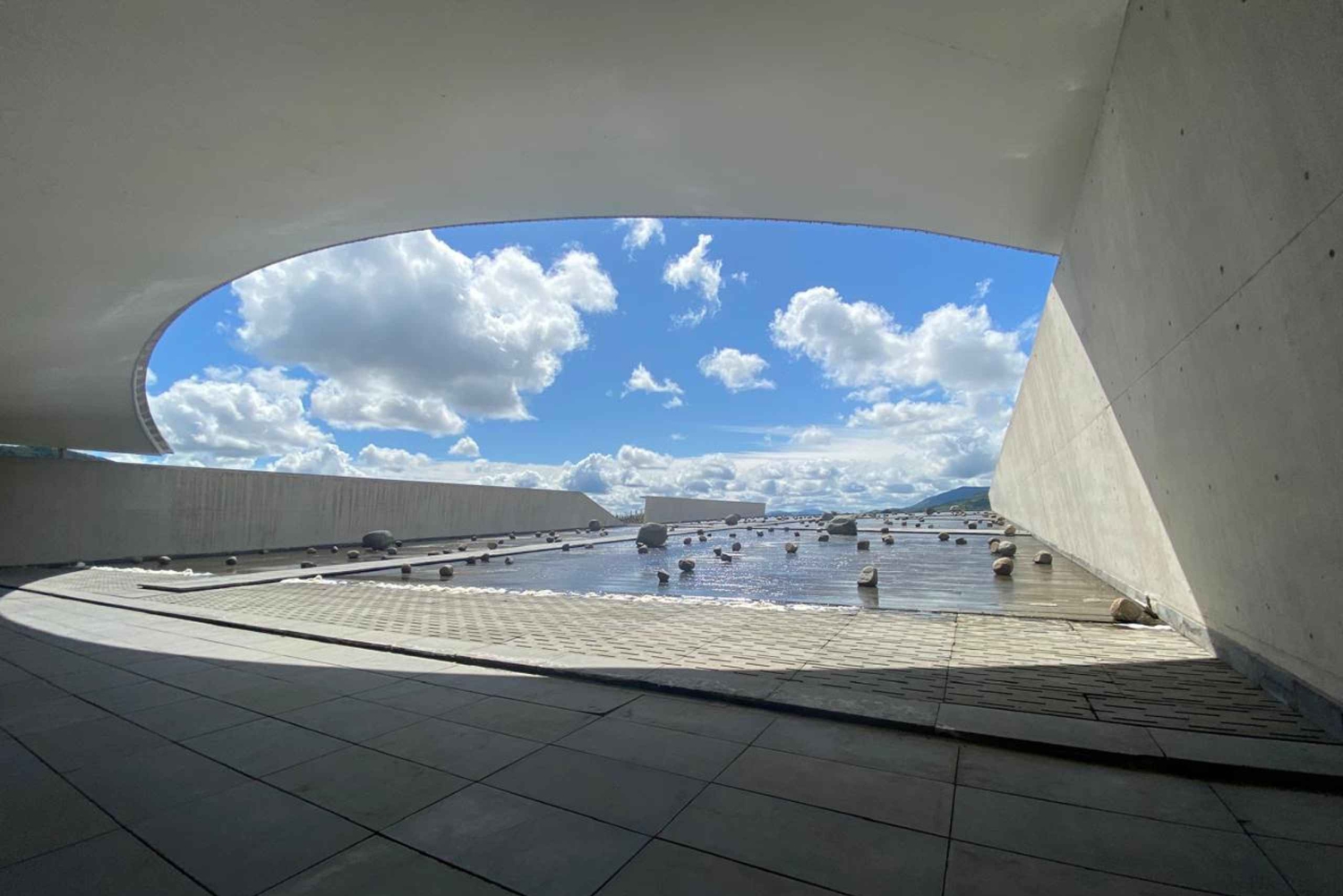 Privat vintur Holistisk opplevelse Viña Vik