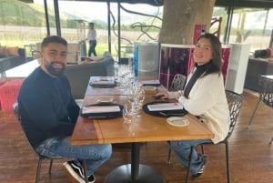 Private Weintour Ganzheitliches Erlebnis Viña Vik