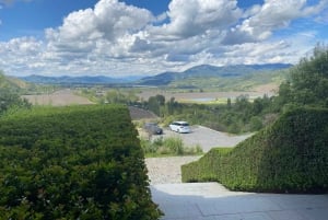 Private Weintour Ganzheitliches Erlebnis Viña Vik