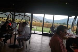 Private Weintour Ganzheitliches Erlebnis Viña Vik