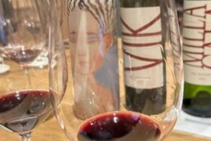 Private Weintour Ganzheitliches Erlebnis Viña Vik