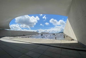 Privat vintur Holistisk opplevelse Viña Vik