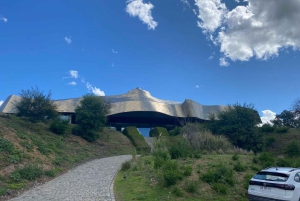 Privat vintur Holistisk opplevelse Viña Vik