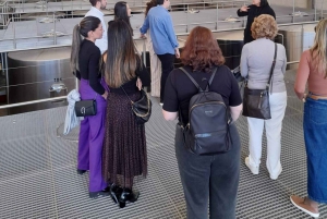 Privat vintur Holistisk opplevelse Viña Vik