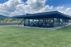 Privat vintur Holistisk opplevelse Viña Vik