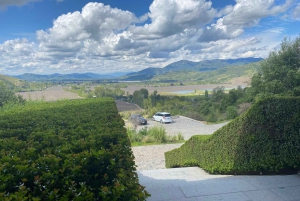 Privat vintur Holistisk opplevelse Viña Vik