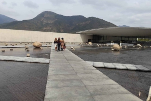 Privat vintur Holistisk opplevelse Viña Vik