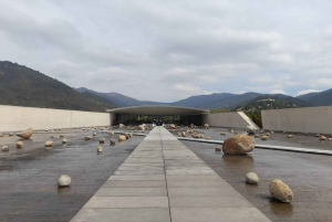 Privat vintur Holistisk opplevelse Viña Vik