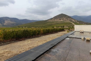 Privat vintur Holistisk opplevelse Viña Vik