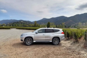 Privat vintur Holistisk opplevelse Viña Vik