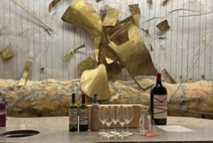 Privat vintur Holistisk opplevelse Viña Vik