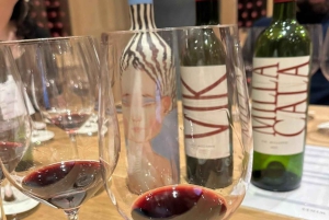 Privat vintur Holistisk opplevelse Viña Vik