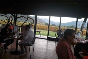 Privat vintur Holistisk opplevelse Viña Vik