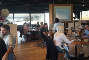 Privat vintur Holistisk opplevelse Viña Vik