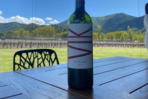 Privat vintur Holistisk opplevelse Viña Vik