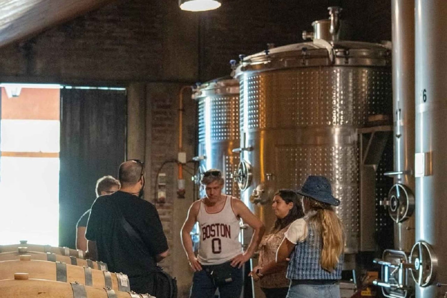 Privat vintur i Maipo-dalen