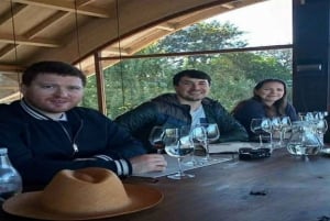 Tour Privado Maipo Valley Vinopplevelse