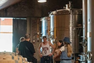 Privat vintur i Maipo-dalen