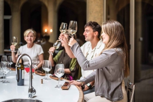 Privat vintur i Maipo-dalen