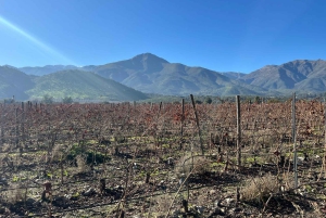 Privat vintur i Maipo-dalen