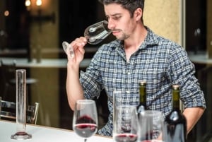 Privat vintur i Maipo-dalen