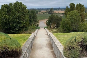 Privat vintur i Maipo-dalen