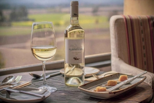 Privat vintur i Maipo-dalen