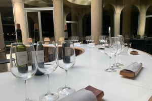 Privat vintur i Maipo-dalen