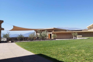 Privat vintur i Maipo-dalen