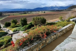 Privat vintur i Maipo-dalen