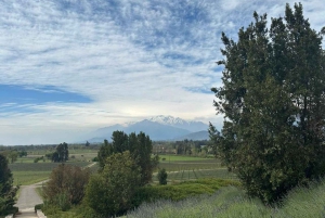 Privat vintur i Maipo-dalen