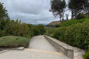 Privat vintur i Maipo-dalen