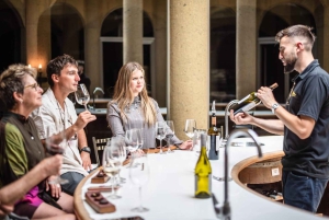 Privat vintur i Maipo-dalen