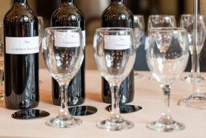 Privat vintur i Maipo-dalen